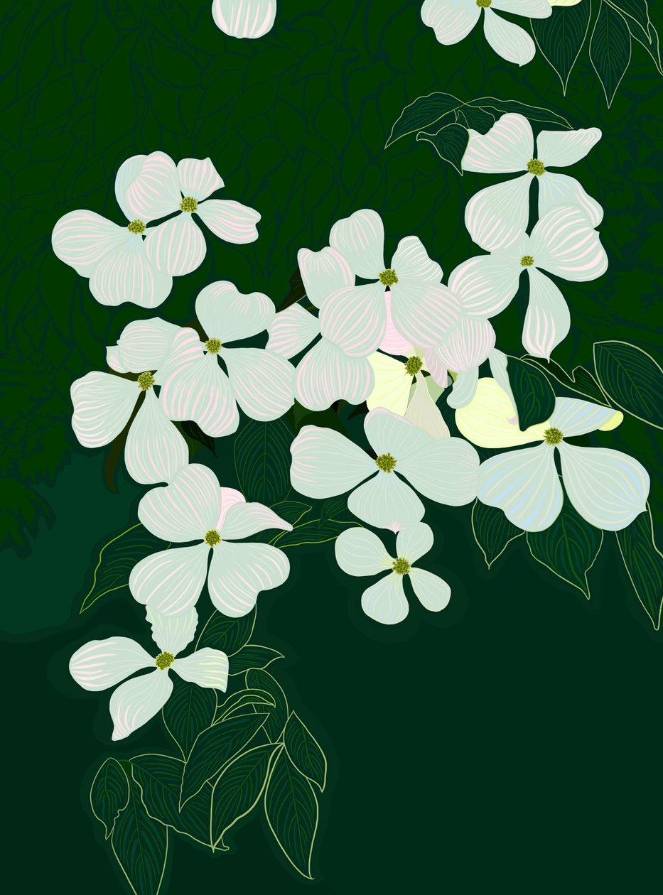 Blommande kornell, ca 2020-24 (digital konst) av Evan Sklar