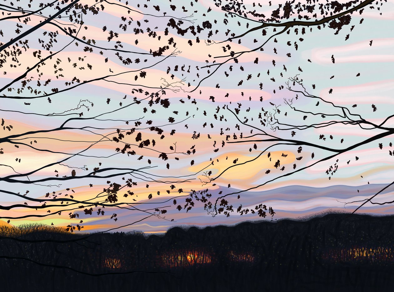 Hawk On Branch, prospect park (digital konst) av Evan Sklar