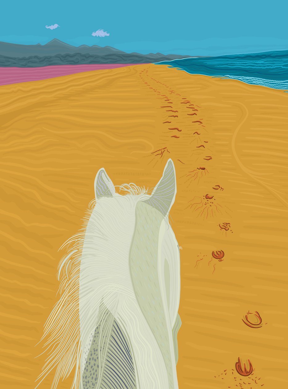 Häst på strand, ca 2020-24 (digital konst) av Evan Sklar