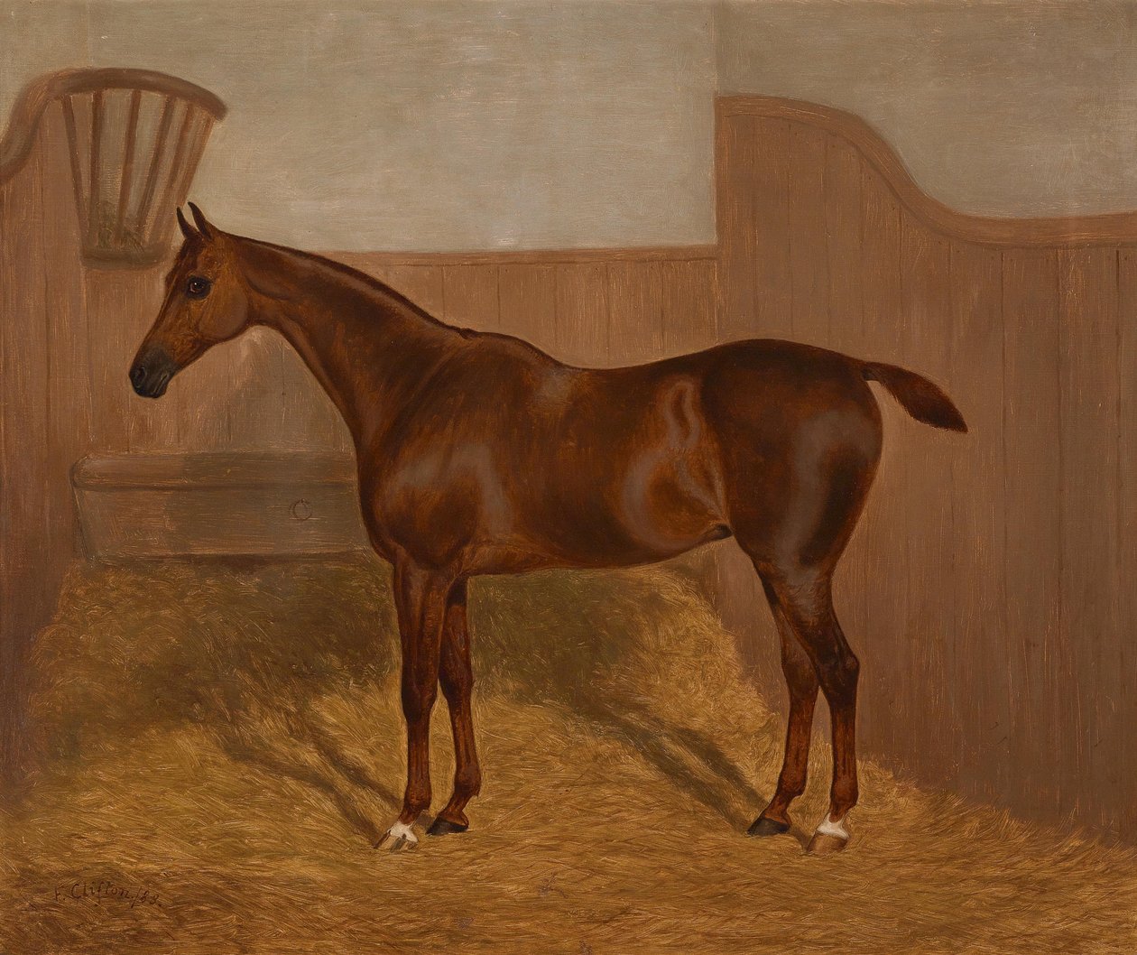 Pferdeportrait (Lady Oswestry oder Dandy,, eines von zwei in einem Los angebotenen Gemälden mit diesen Bezeichnungen) av F. Clifton