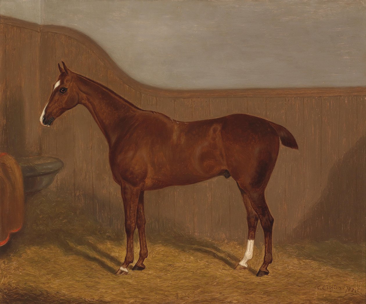 Pferdeportrait (Lady Oswestry oder Dandy,, eines von zwei in einem Los angebotenen Gemälden mit diesen Bezeichnungen) av F. Clifton