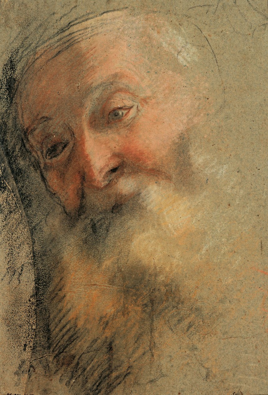 Huvud för en gammal skäggig man, 1584-1586 av Federico Barocci
