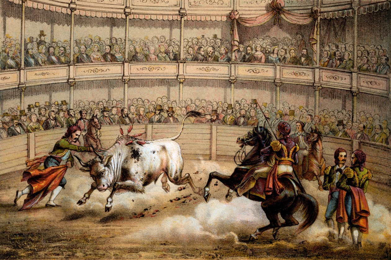 Tjurfäktning, 1840 av Federico Mialhe
