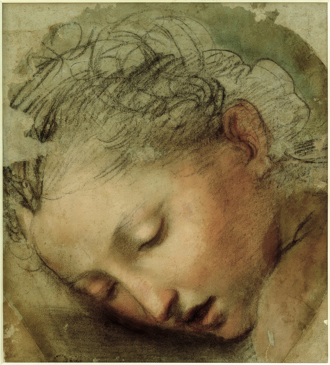 Kvinnans huvud, 1568 av Federico Barocci