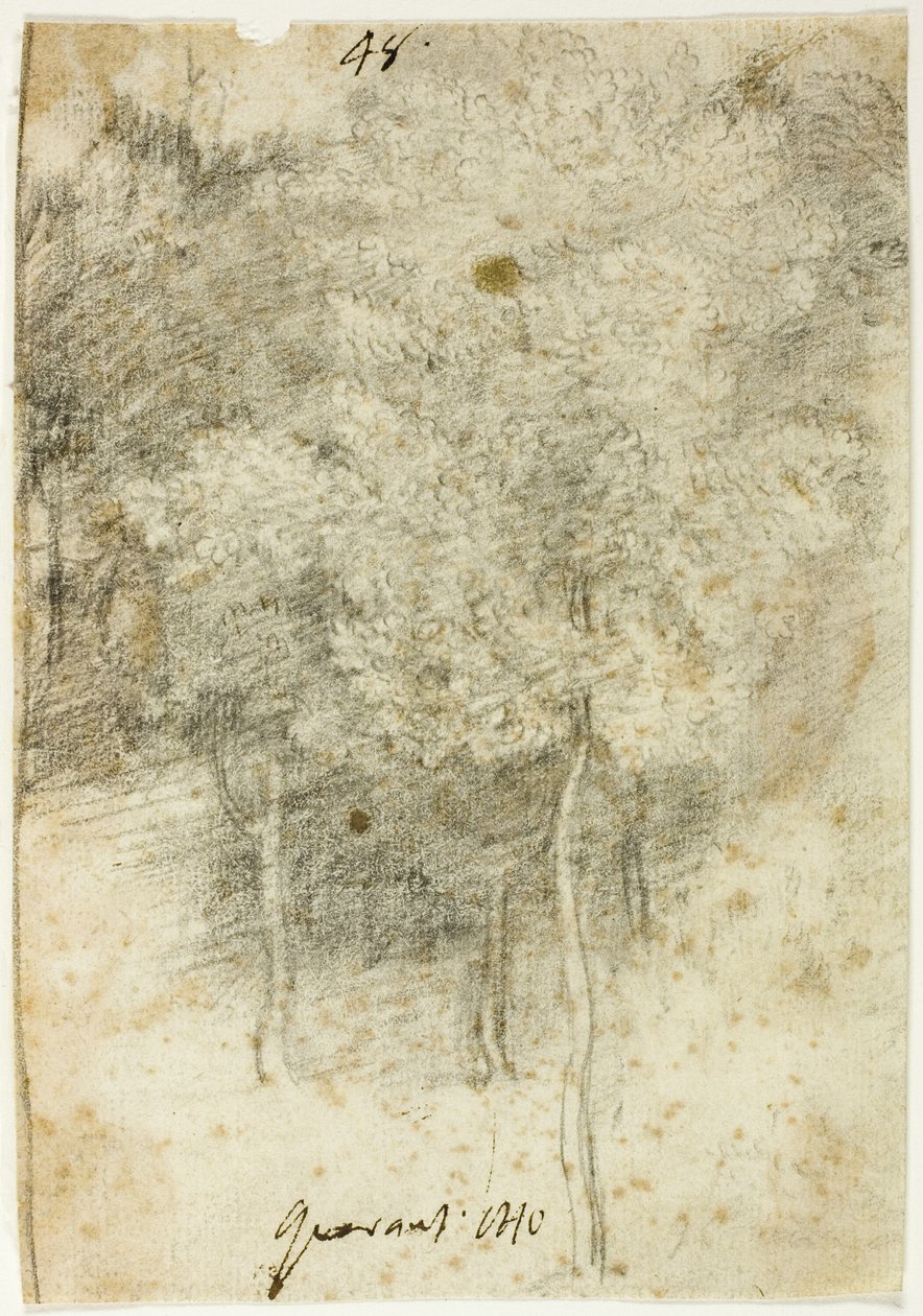 Grove av träd av Federico Barocci