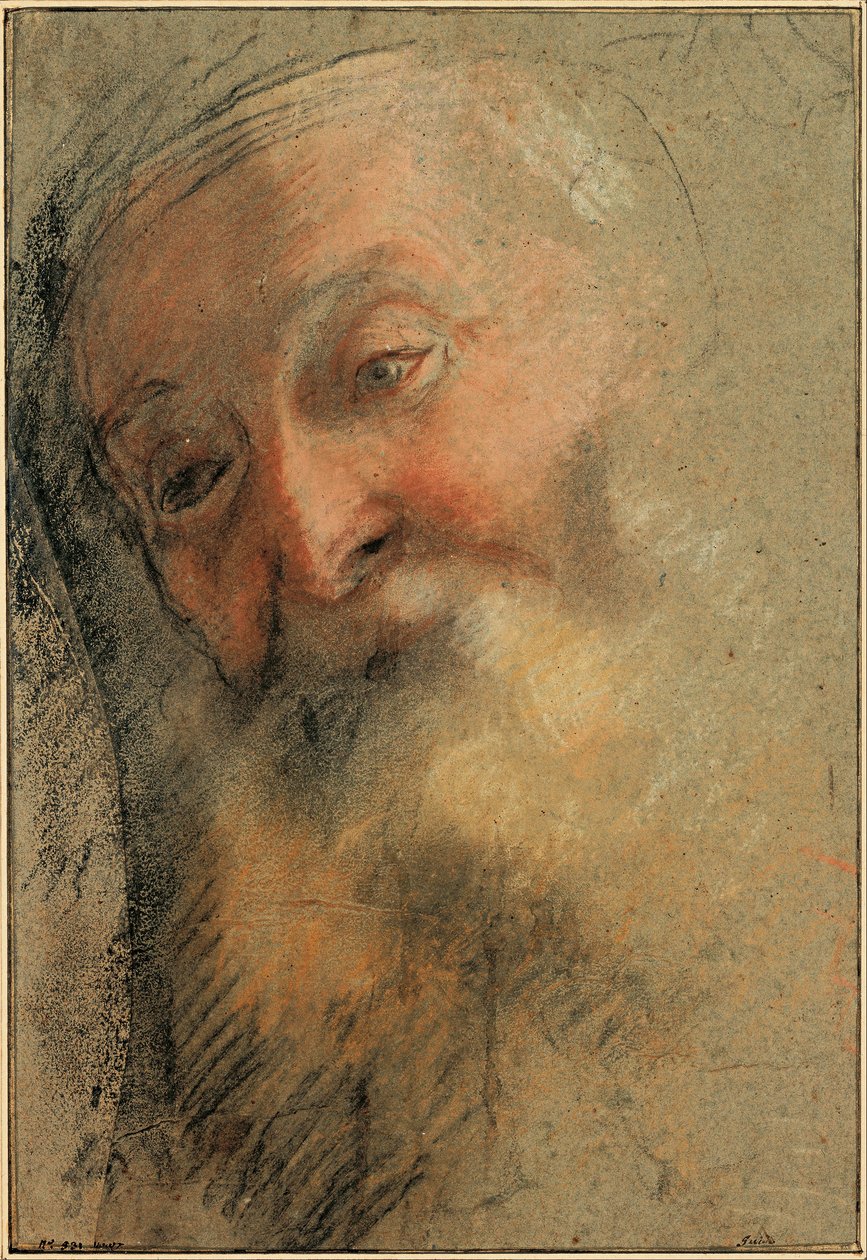 Huvud av en gammal skäggig man av Federico Barocci