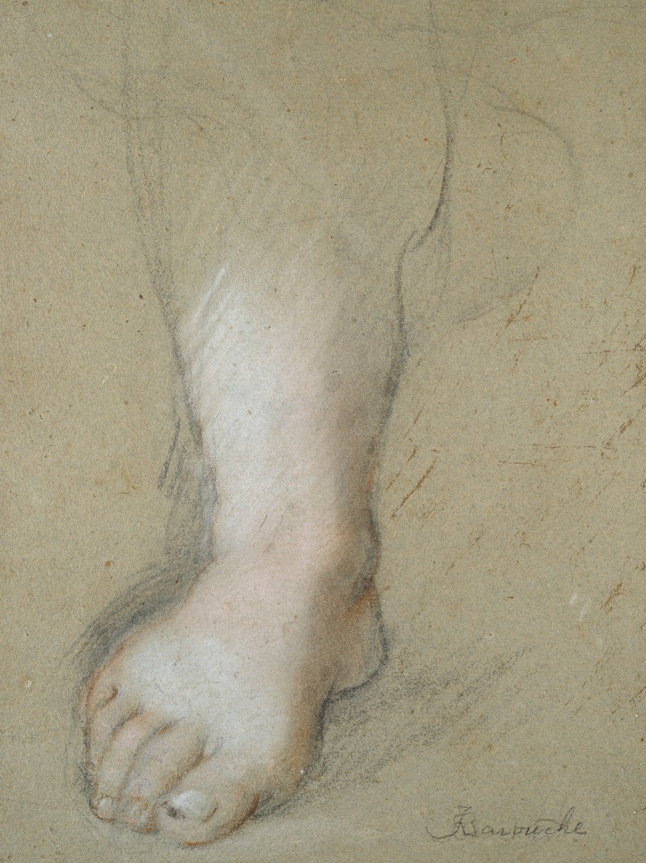 Studie av en fot, sent 1500-tal av Federico Barocci