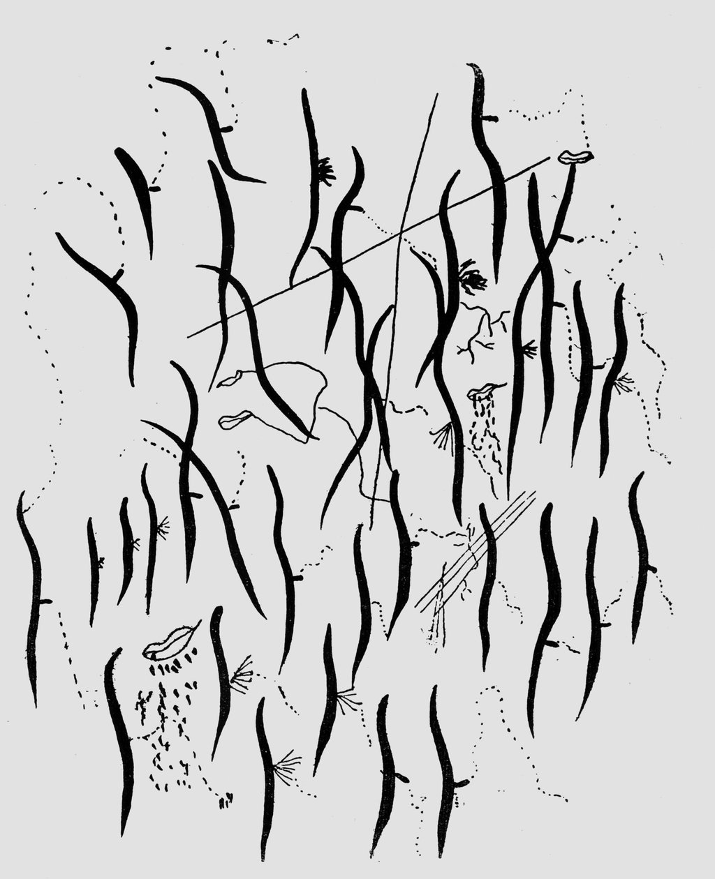 Parque, illustration från 