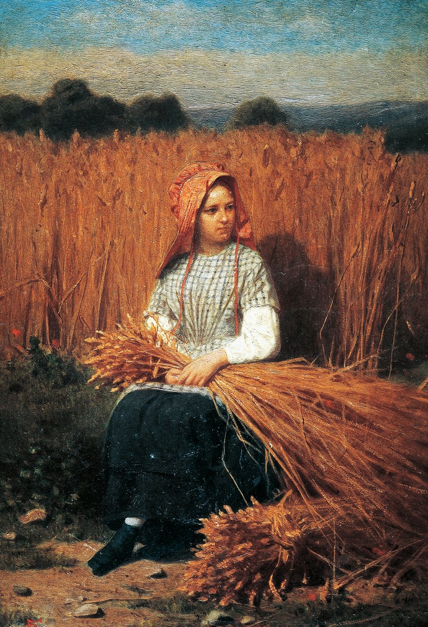 Gleaner av Felice Barucco