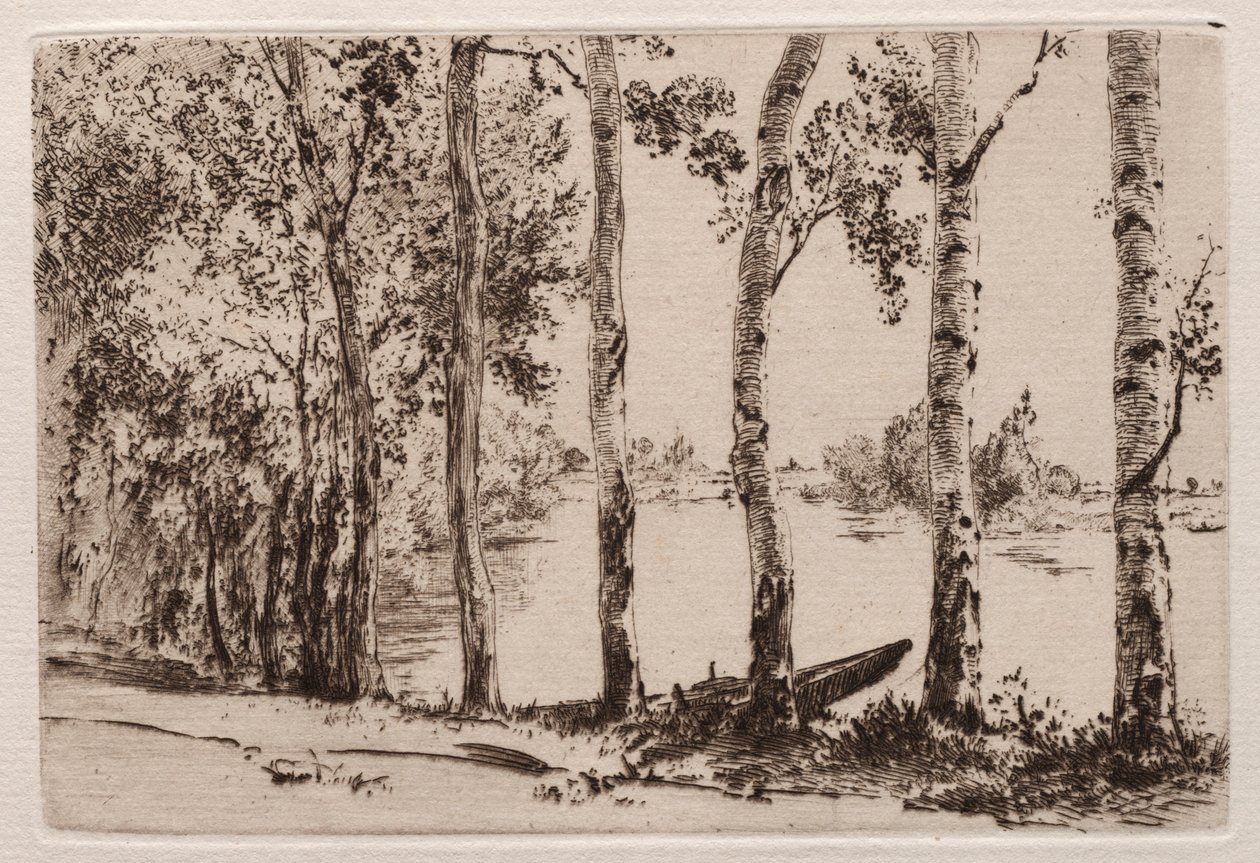 Aspar på stranden av Seine av Felix Bracquemond