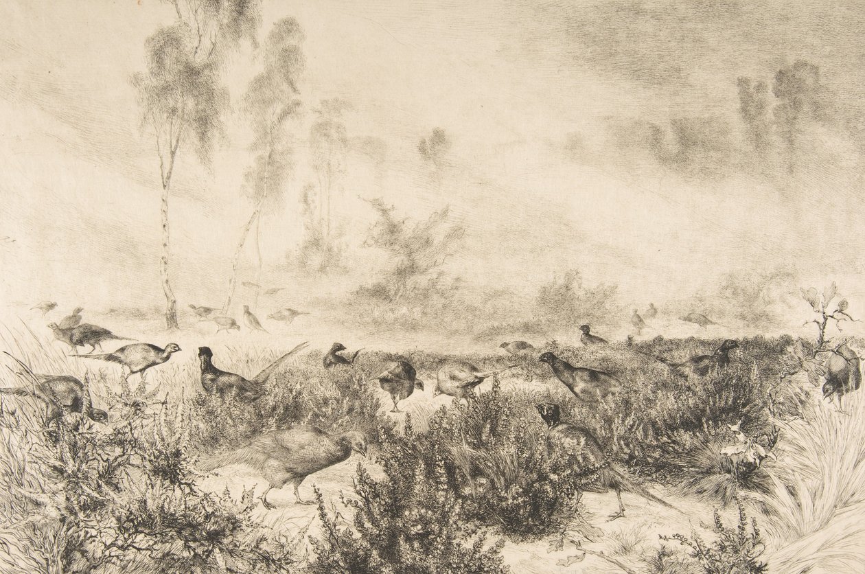 Morgondimmor, 1882. av Felix Bracquemond
