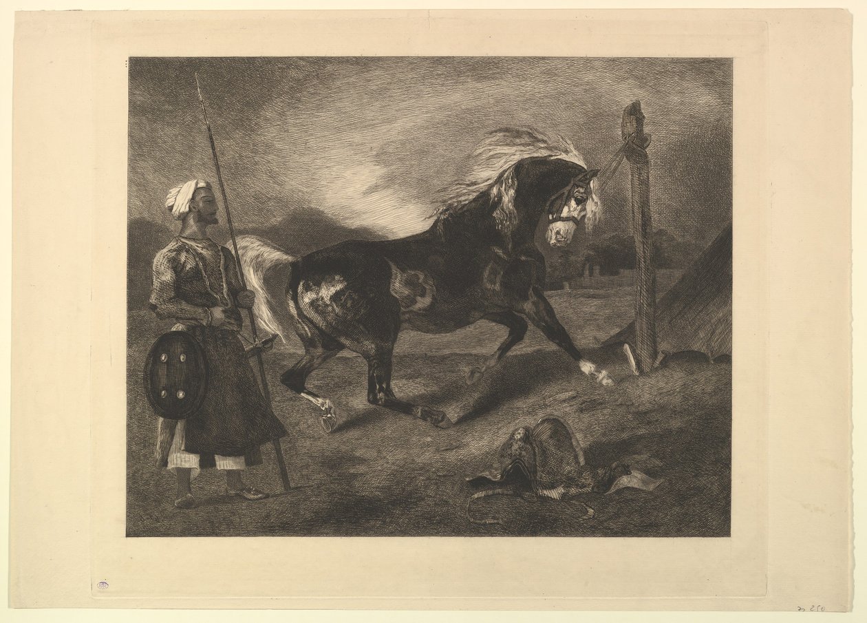Arabisk häst på påle, efter Delacroix, 1857. av Felix Bracquemond