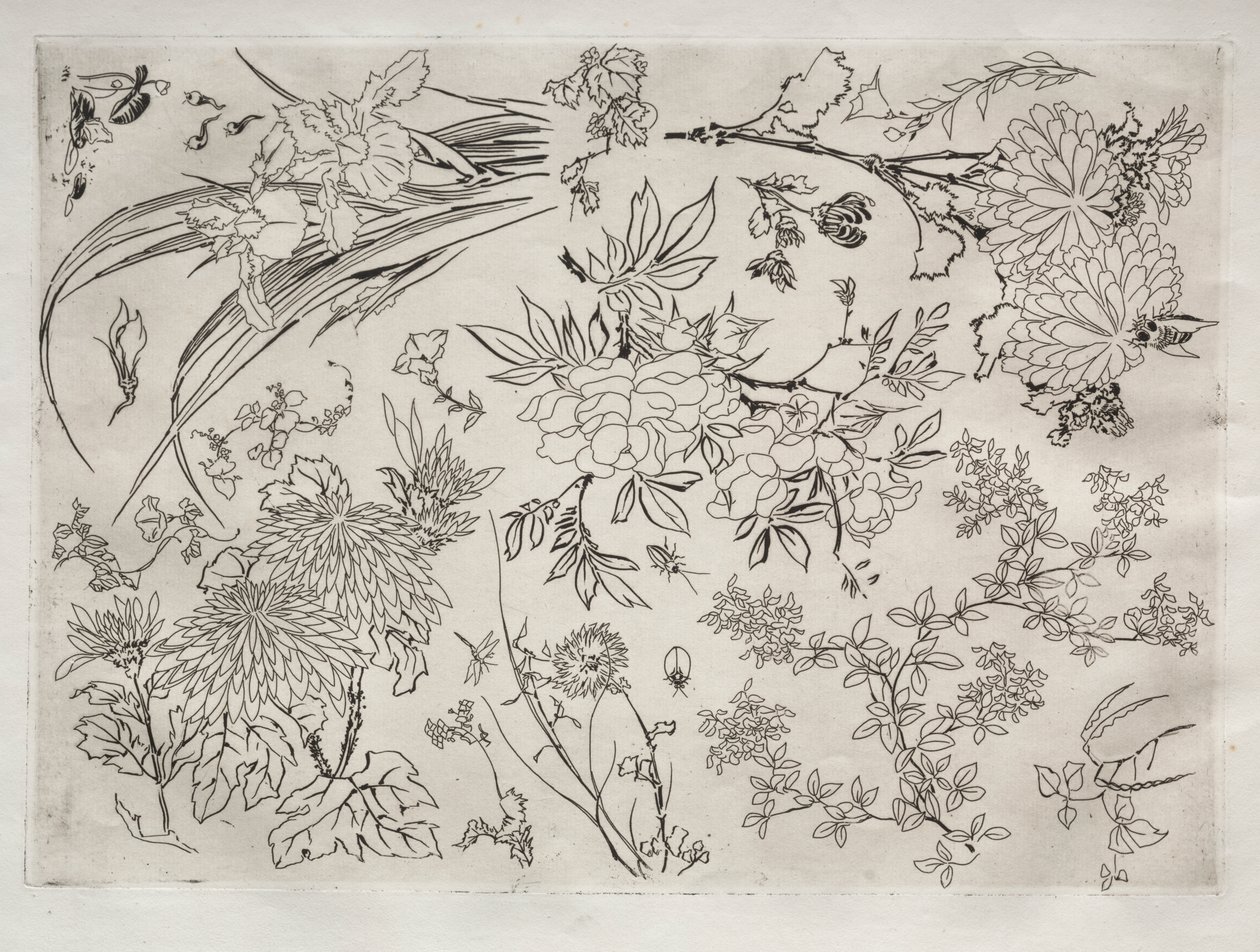 Middagsservering (Rousseau-servering): Blommor (nr 23) av Felix Bracquemond