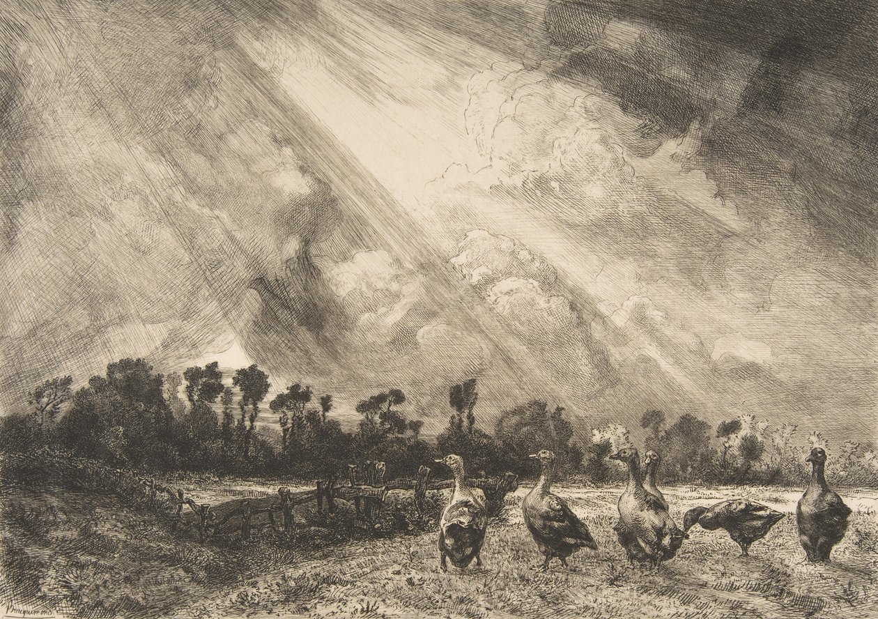 Stormmolnet, 1882-84. av Felix Bracquemond