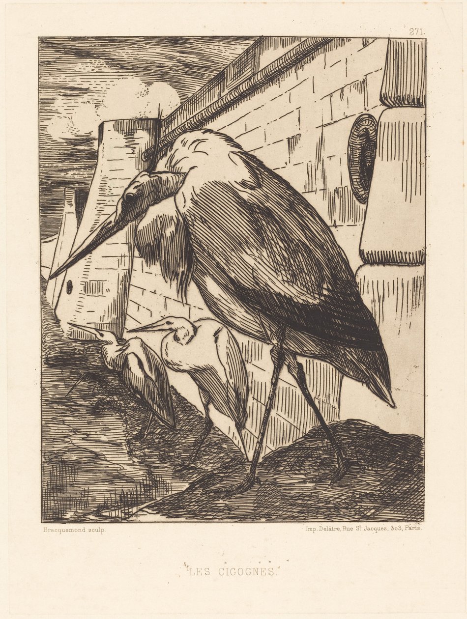 Les Cigognes (Storkarna) av Felix Bracquemond