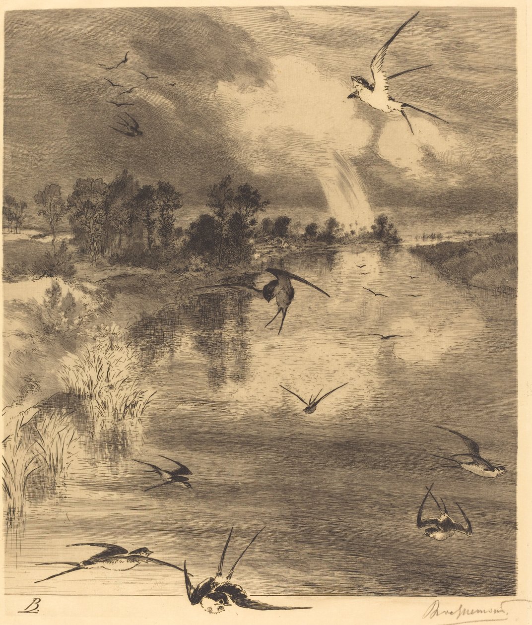 Les Hirondelles (Svalorna) av Felix Bracquemond