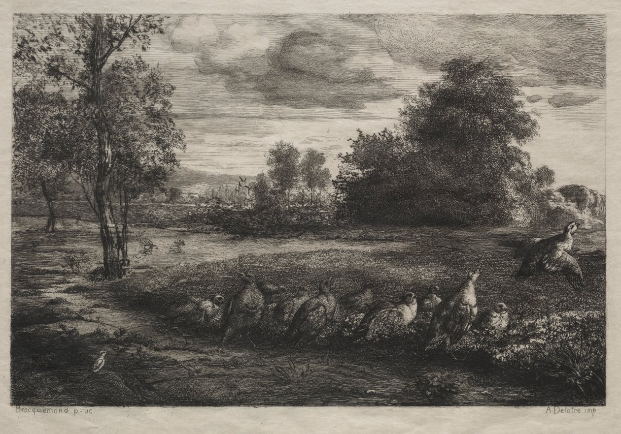 Uppmaningen till ordning, 1859. av Felix Bracquemond