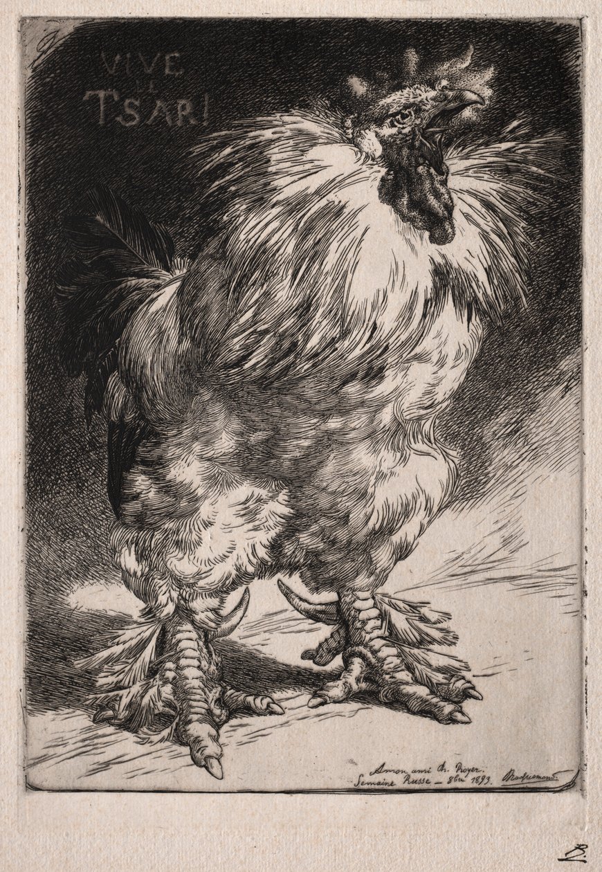 Den franska hanen, 1893. av Felix Bracquemond