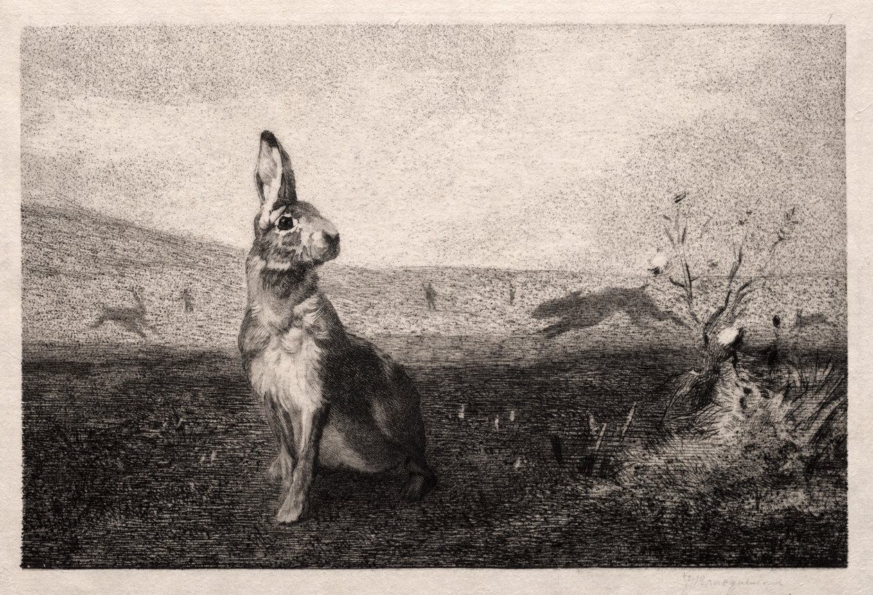 Haren (efter A. de Balleroy) av Felix Bracquemond