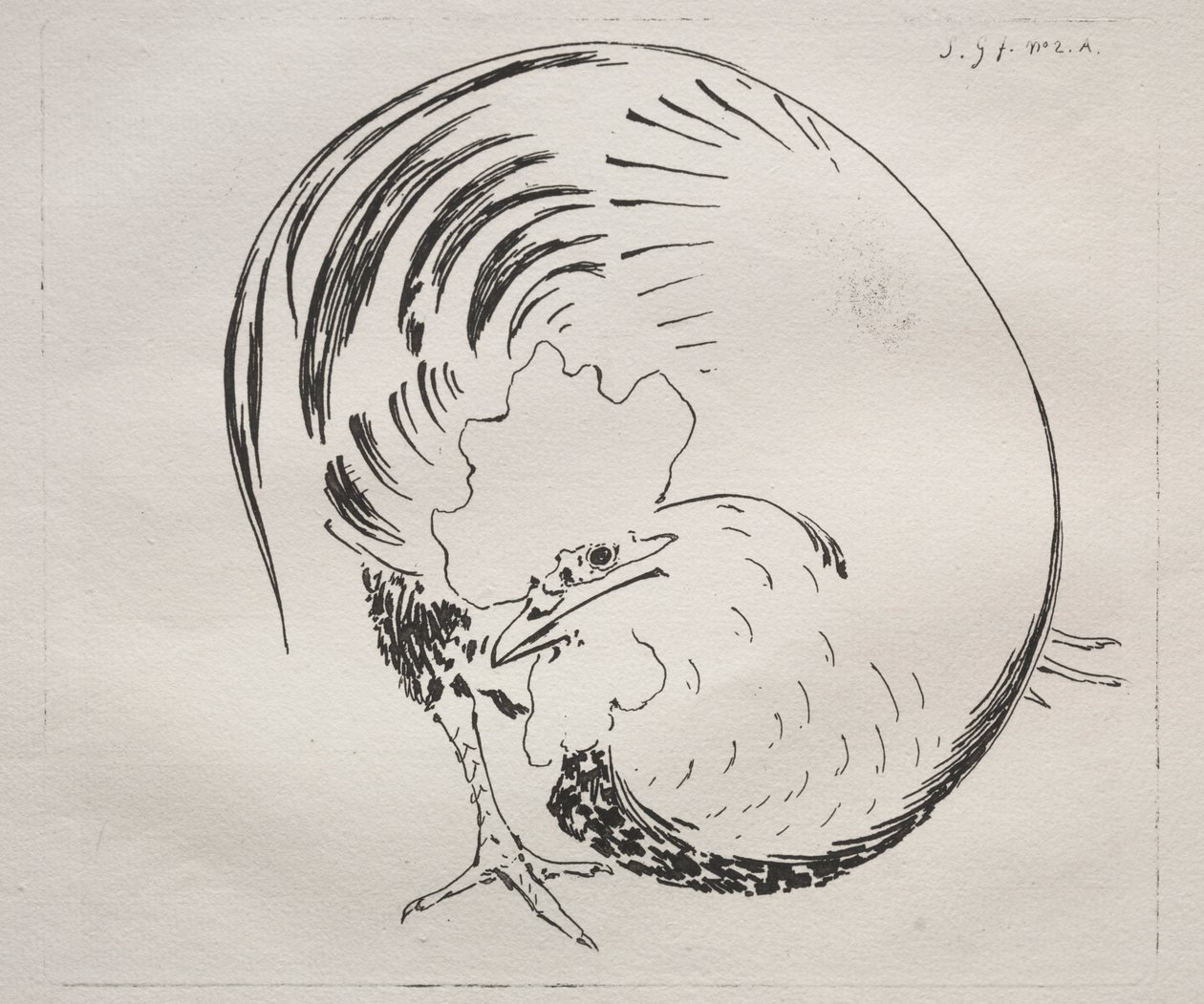 The High-Fired Service: Tupp (motsäker) av Felix Bracquemond