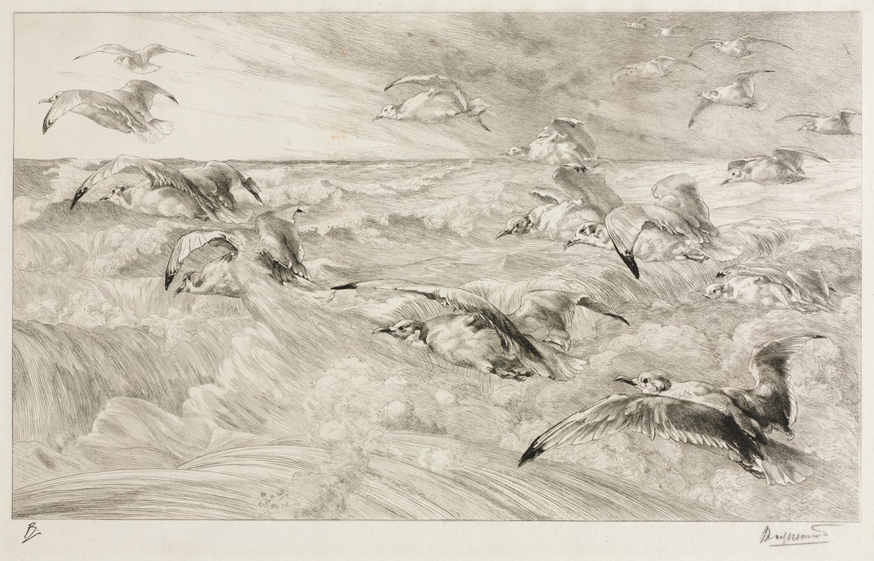 Måsarna, ca. 1880. av Felix Bracquemond