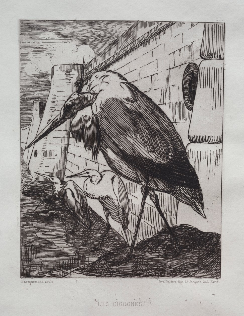 Storkarna, 1865. av Felix Bracquemond