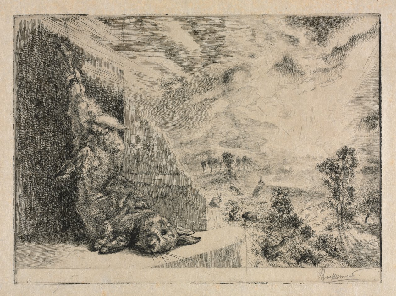 Den vilda kaninen av Felix Bracquemond