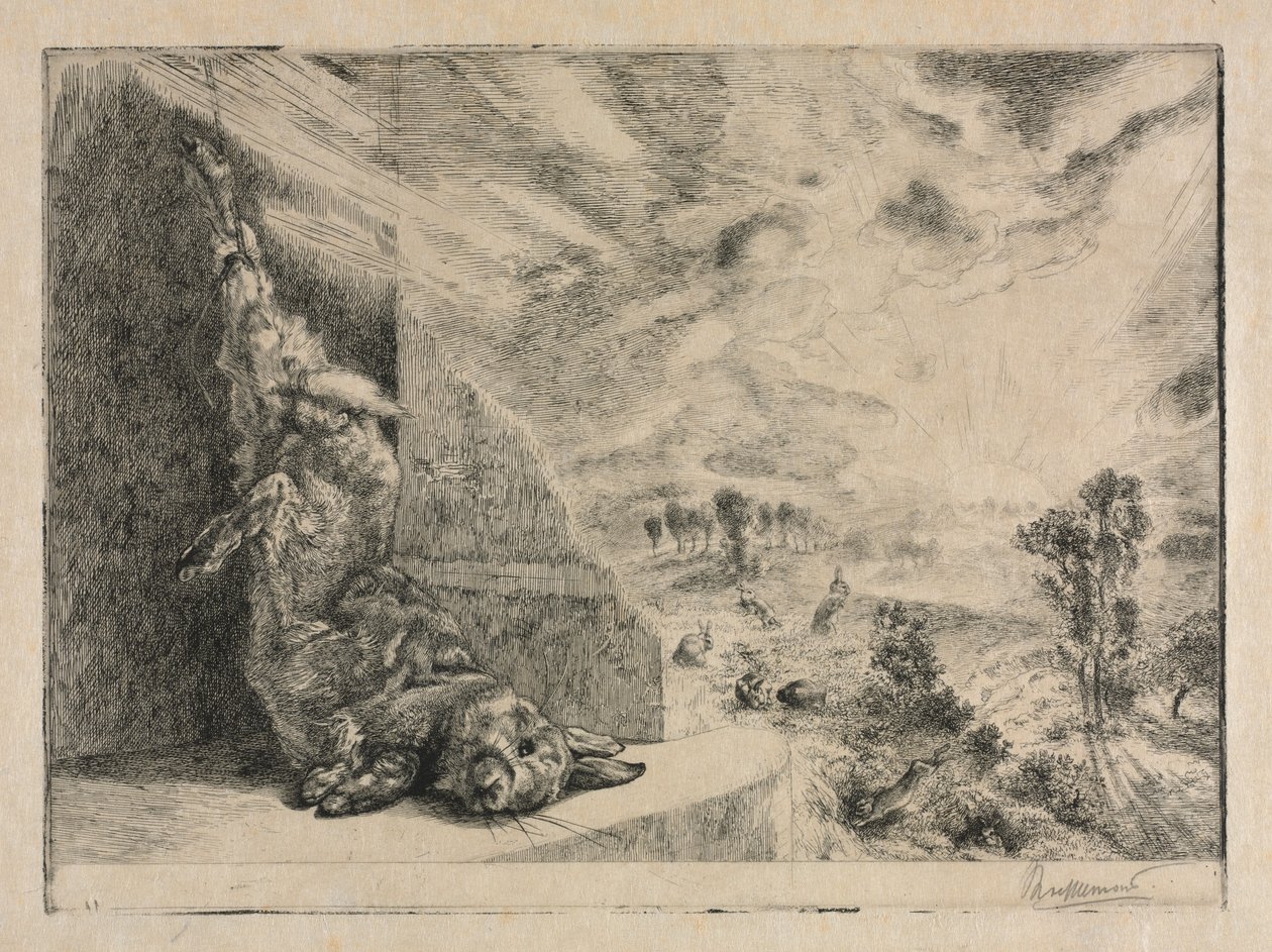 Den vilda kaninen, 1891. av Felix Bracquemond