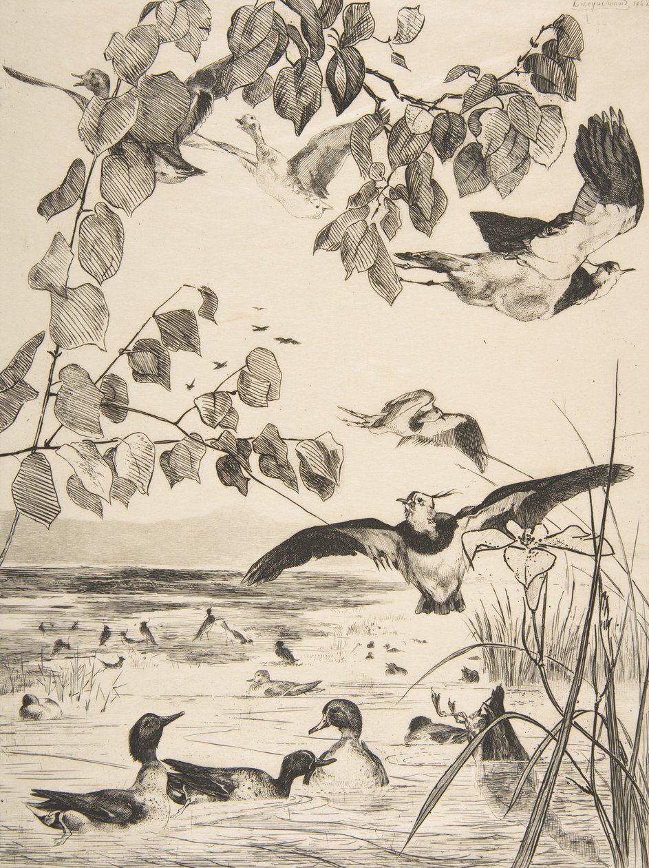 Vipor och Sarcelles, 1862. av Felix Bracquemond