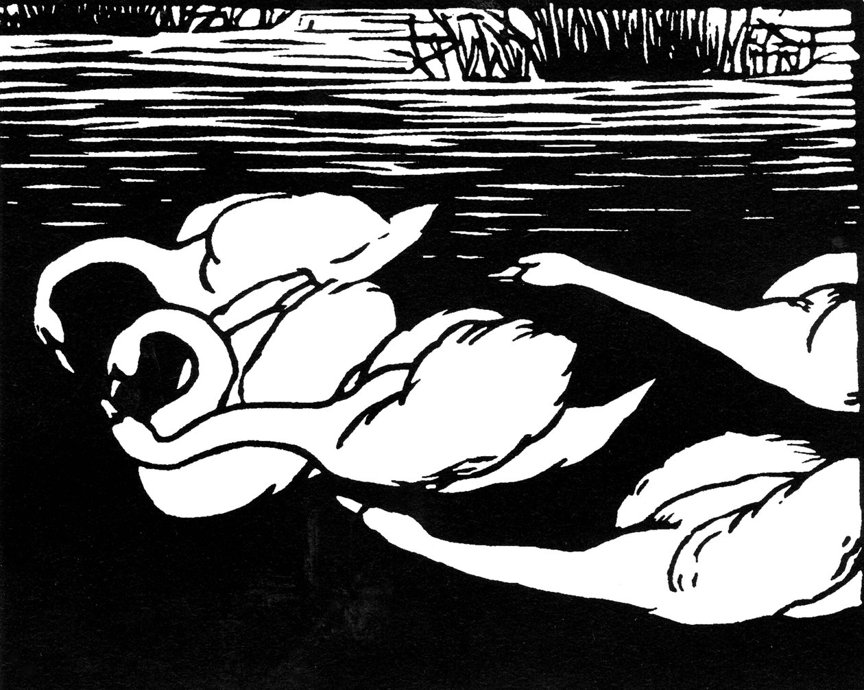 Svanar, 1892. av Felix Edouard Vallotton