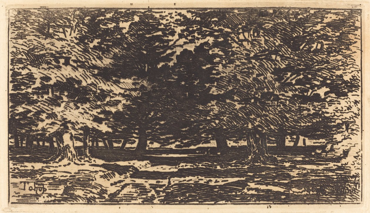 Skog. av Felix Hilaire Buhot