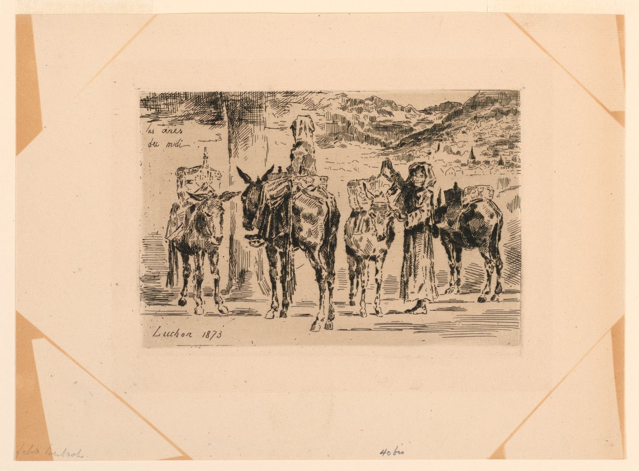 Söderns åsnor av Felix Hilaire Buhot