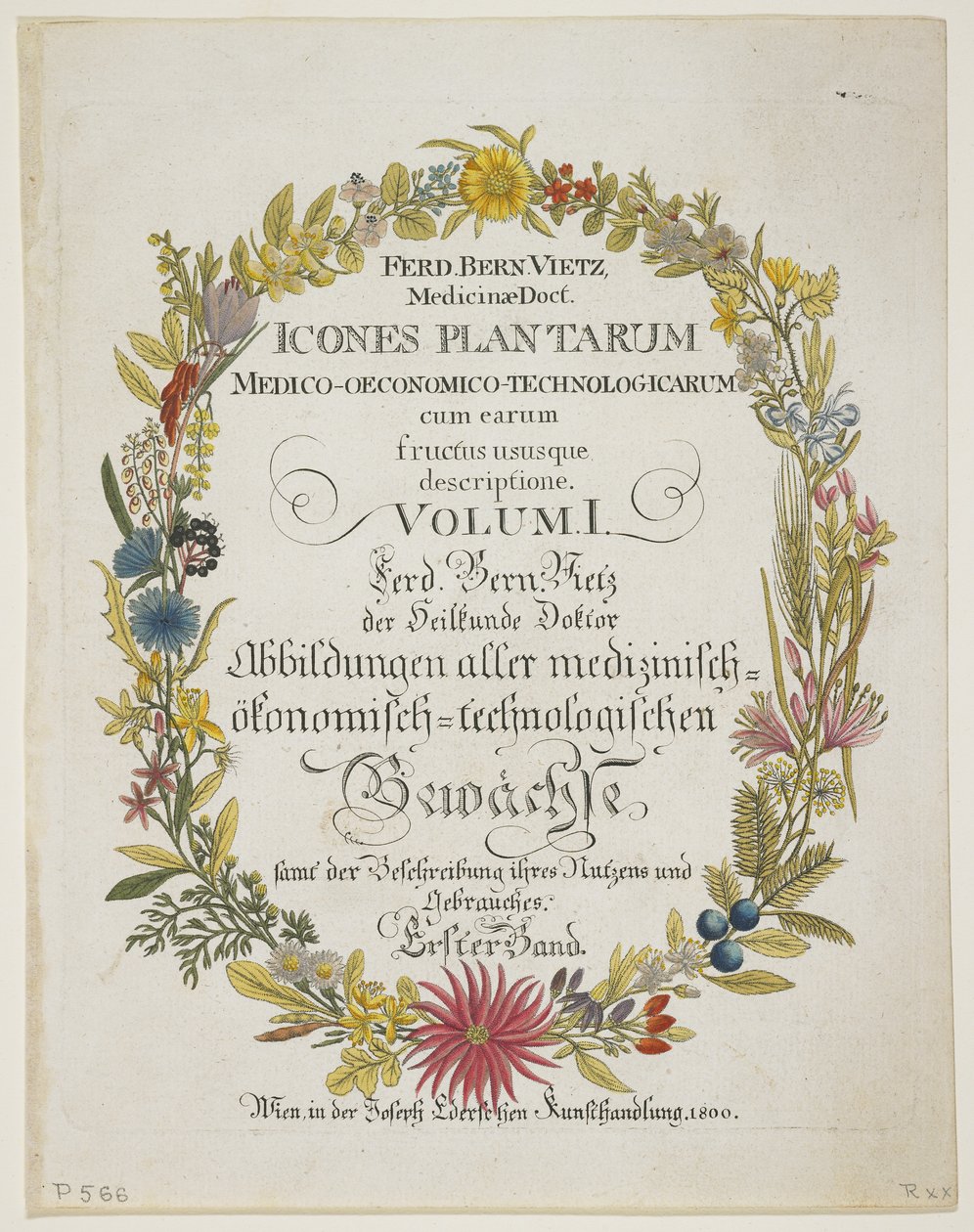 Frontispice och titelsida, vol. I, från Icons of Plants Medico-Economic-Technology with their Fruit and Uses Description, 1800 (handfärgad gravyr) av Ferdinand Bernhard Vietz