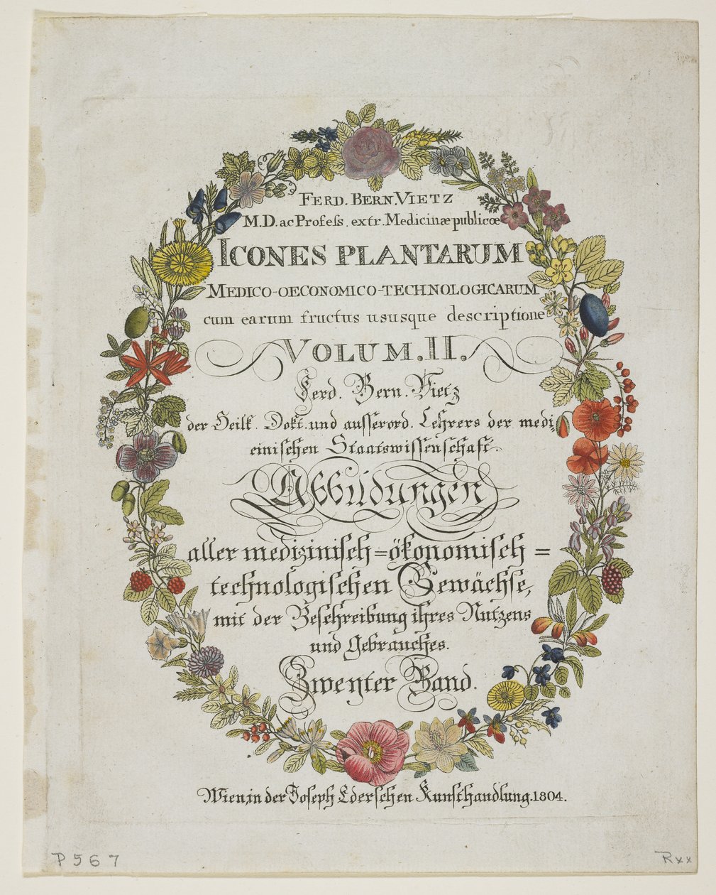 Frontispice och titelsida, vol. II, från Icons of Plants from Medico-Economic-Technology with their fruit and use description, 1804 (handfärgad gravyr) av Ferdinand Bernhard Vietz