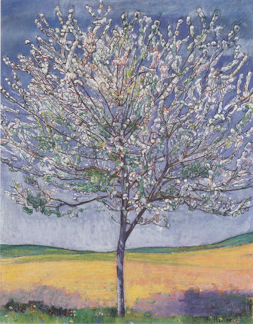 Blommande körsbärsträd av Ferdinand Hodler