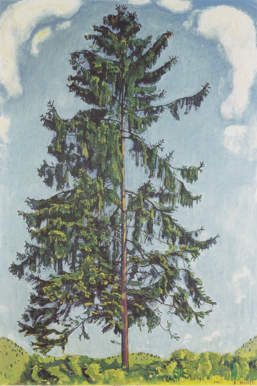 Gran vid Chamby2 av Ferdinand Hodler