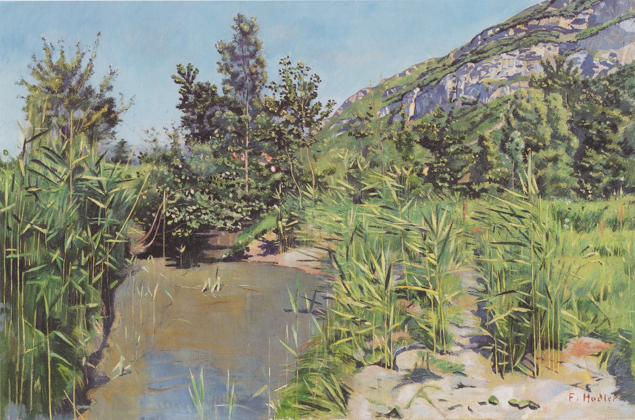 Teichlandschaft bei Veyrier av Ferdinand Hodler