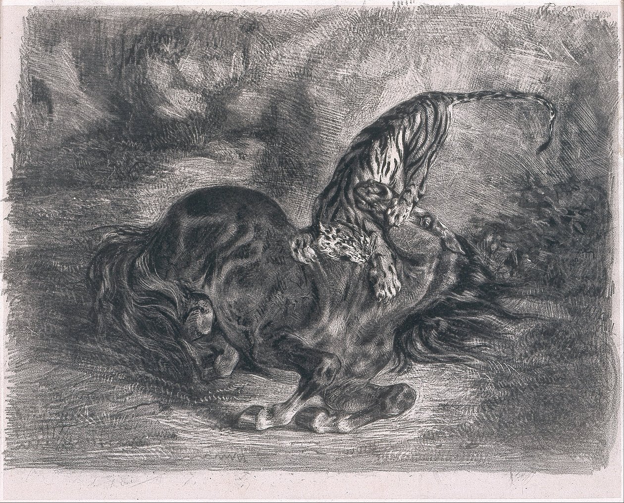 Cheval sauvage terrassé par un tigre (Wild Horse Felled by a Tiger) av Ferdinand Victor Eugene Delacroix