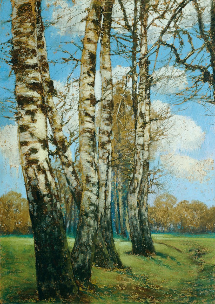 Björken av Ferdinand Engelmuller