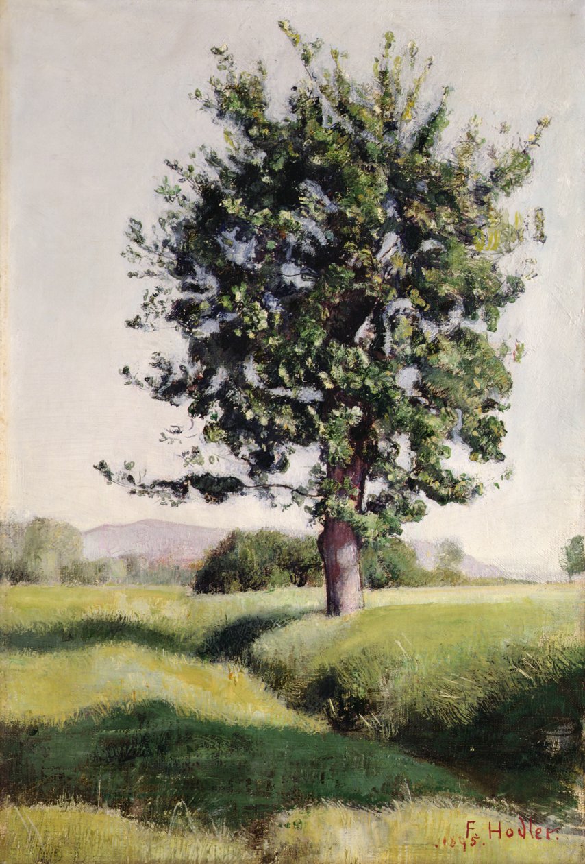 Trädet av Ferdinand Hodler