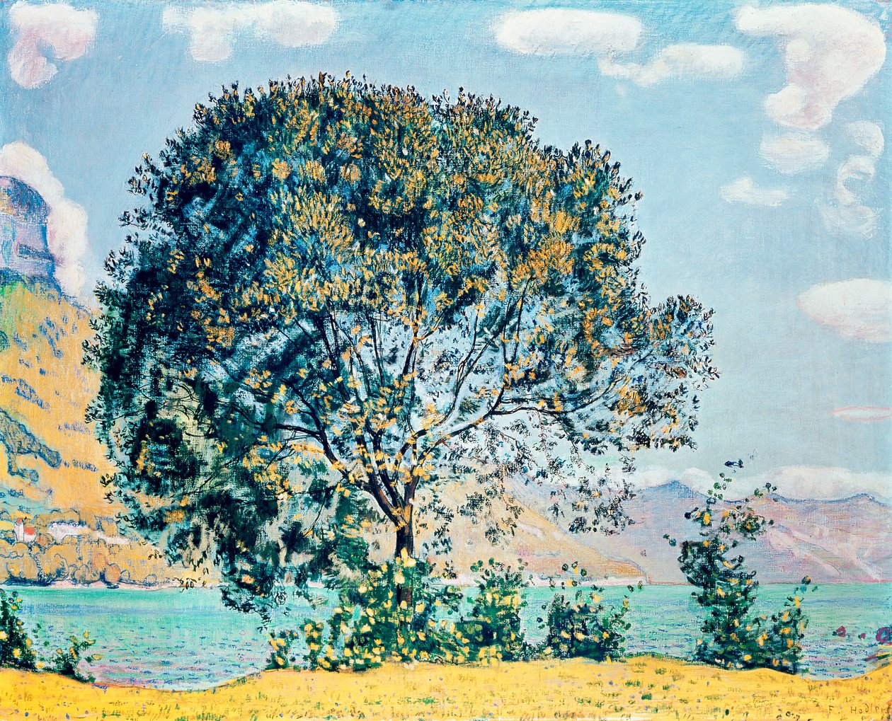 Okänd bild av Ferdinand Hodler