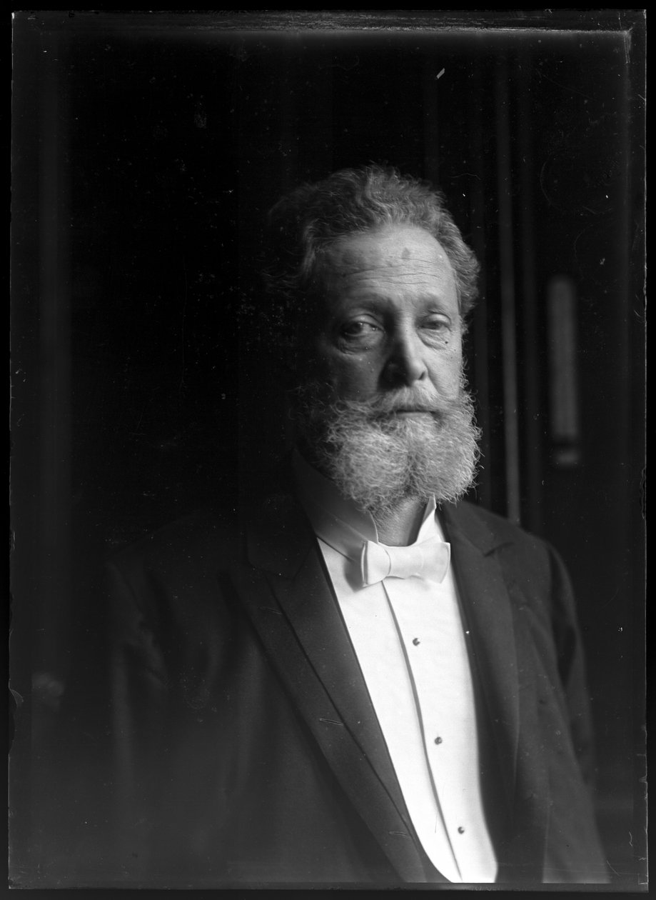 Bild av Charles Lueger (1897-1910) av Ferdinand Schmutzer