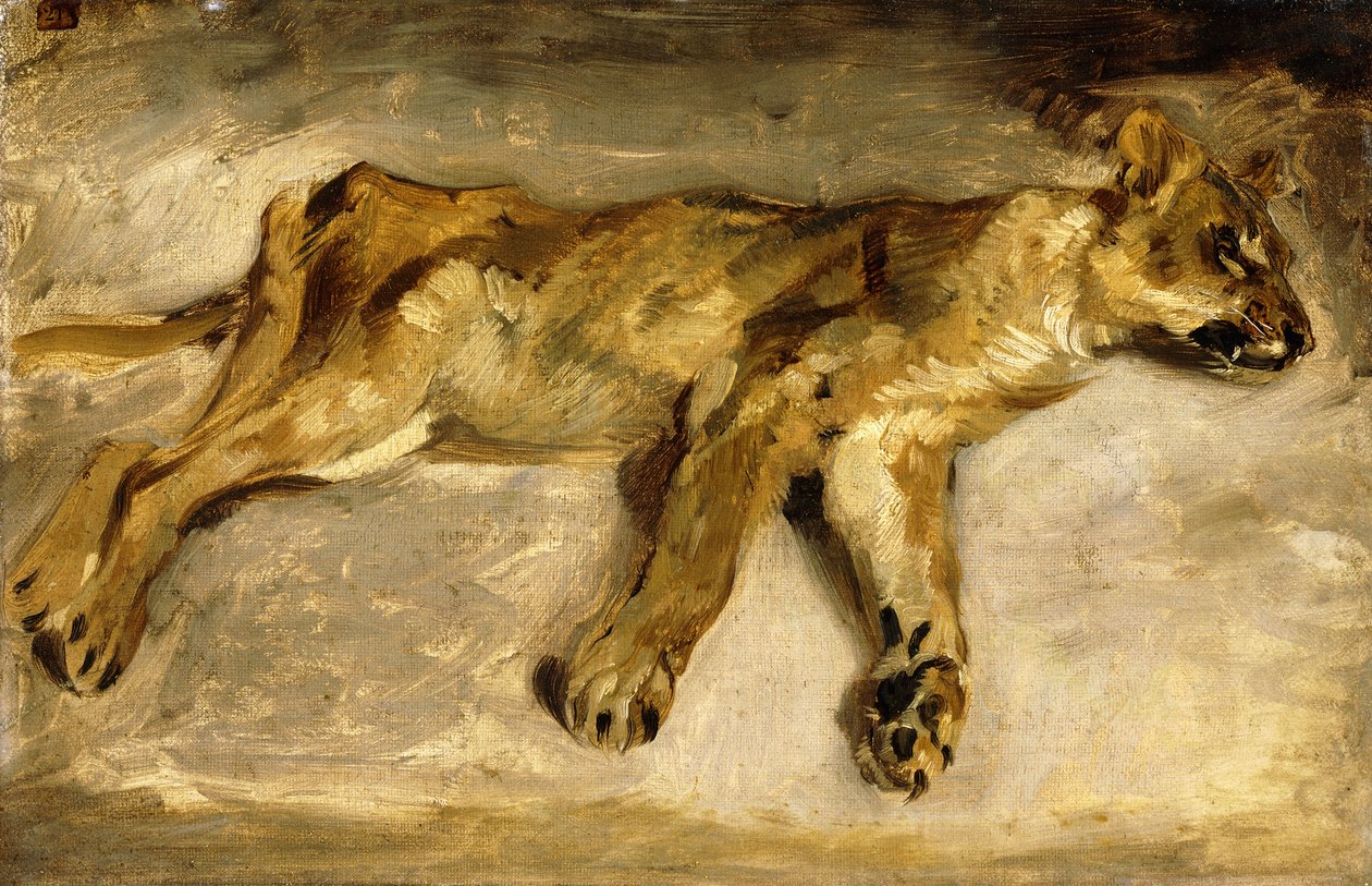 En sovande lejoninna, ca 1830 av Ferdinand Victor Eugene Delacroix
