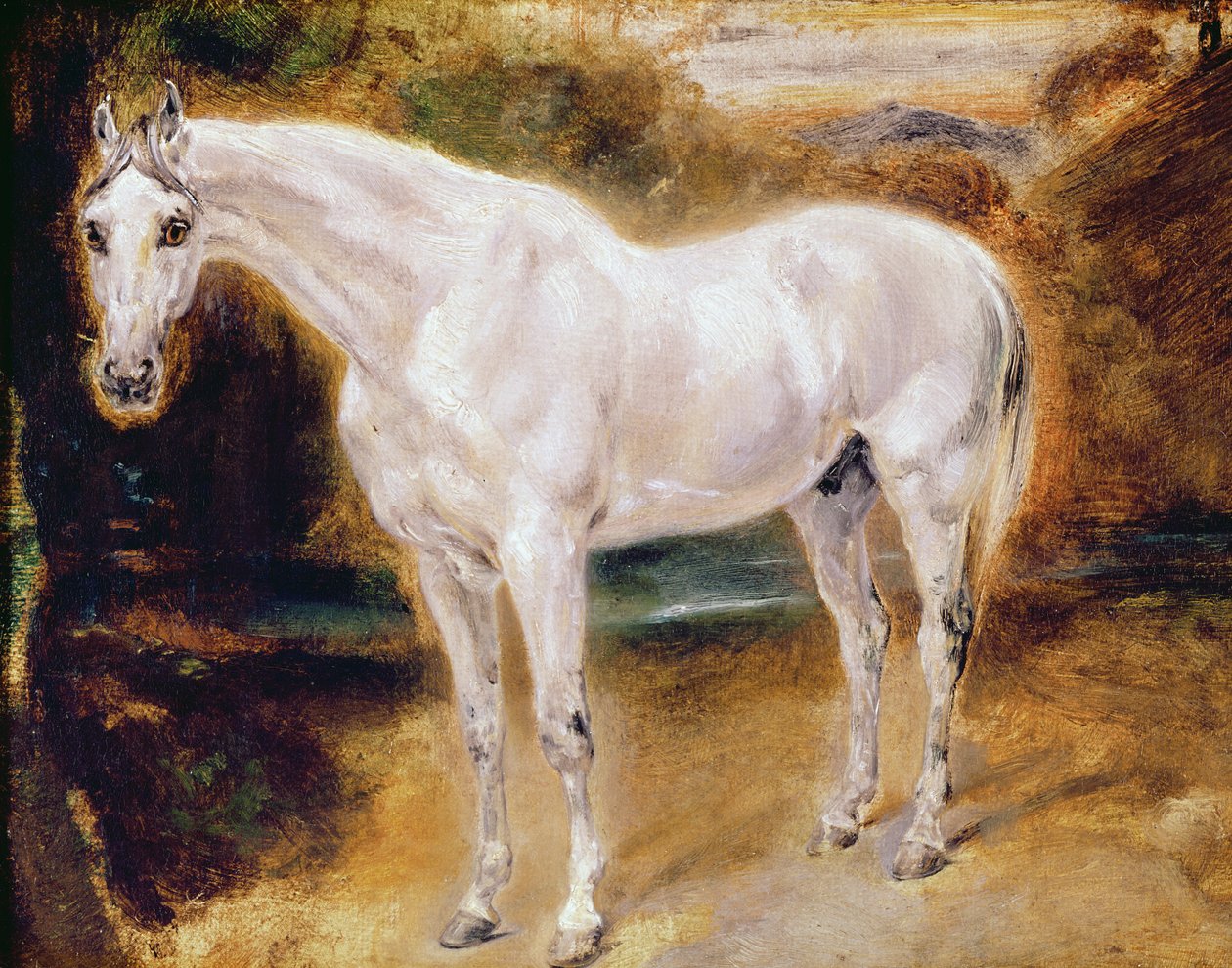 Vit häst av Ferdinand Victor Eugene Delacroix