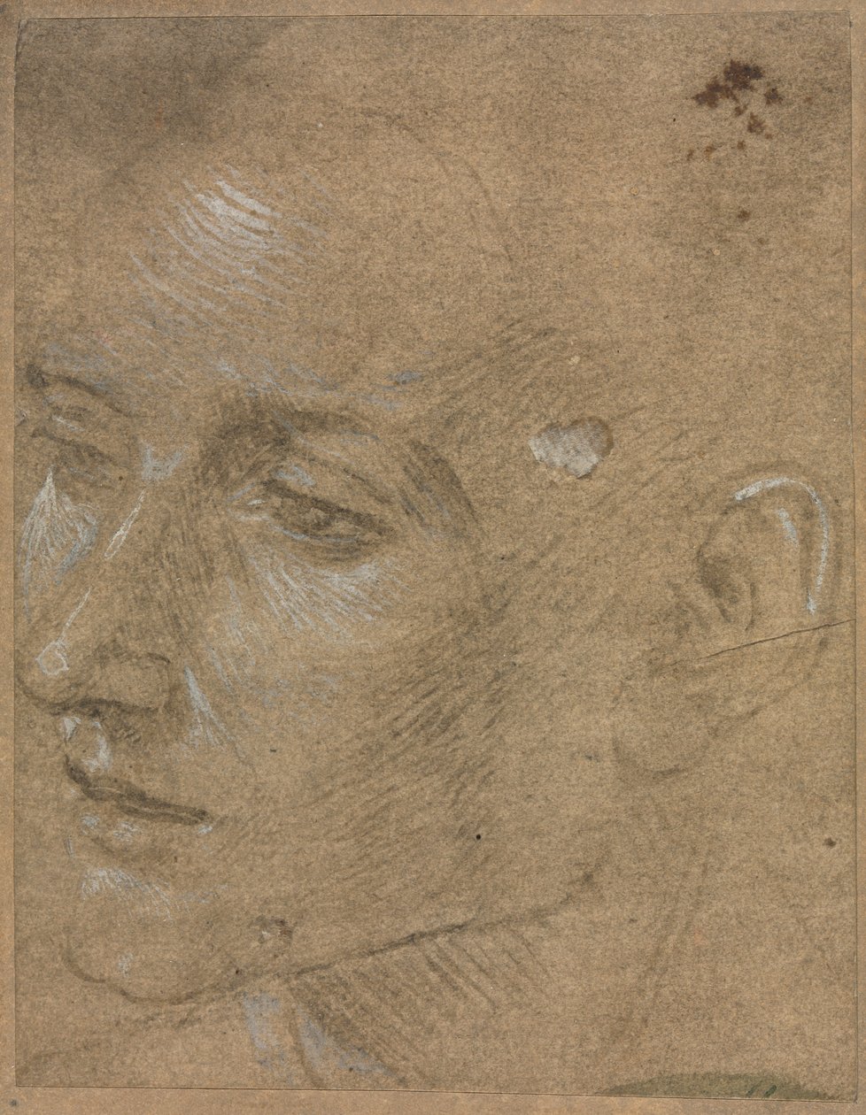 Chef för en ung man av Filippino Lippi