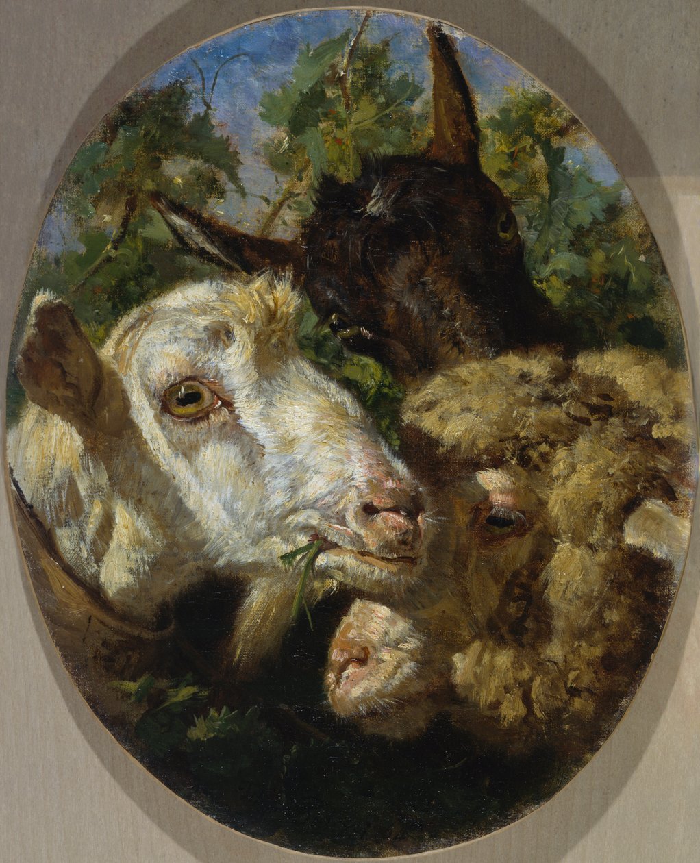 Djurhuvuden av Filippo Palizzi