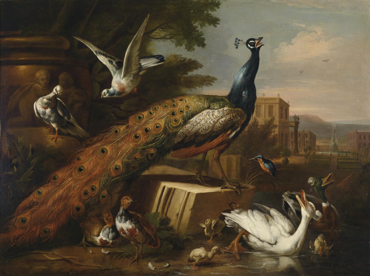 Ein von Tauben, Hühnern und Wasservögeln umgebener Pfau in einem Schlosspark av Follower of Pieter Casteels III