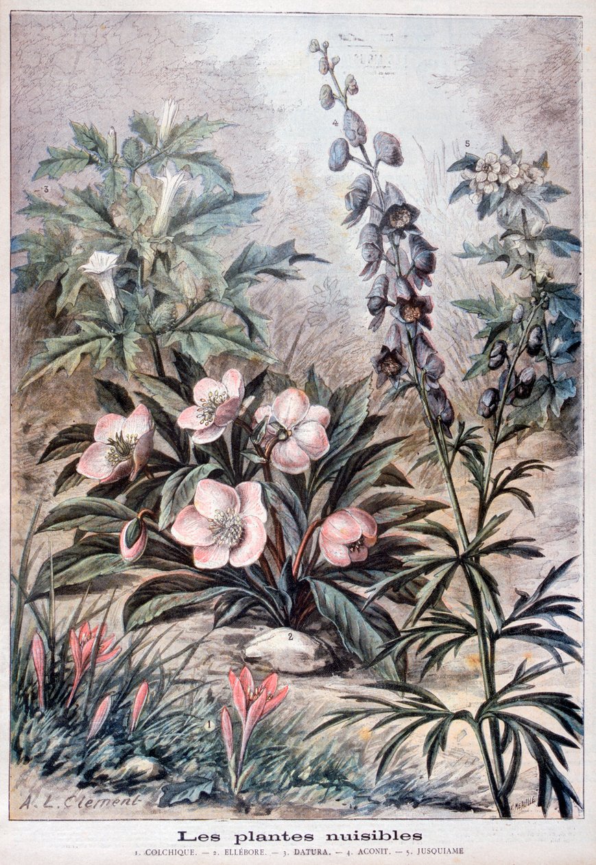 Skadliga växter, 1897 av Fortuné Méaulle