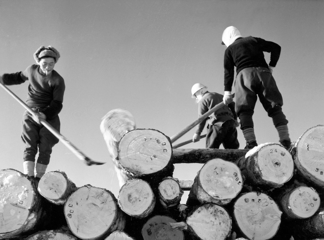 Träskärare i arbete av Fosco Maraini