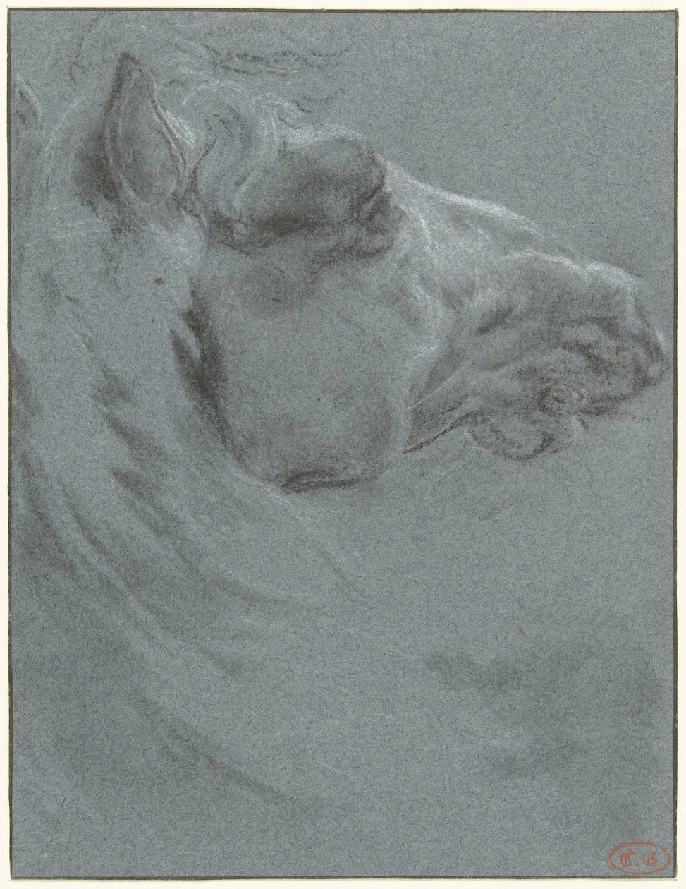 Huvudet på en häst av Francesco Giuseppe Casanova
